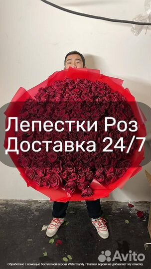 Лепестки роз 24/7