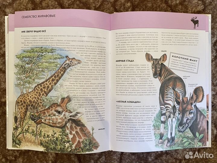 Полная энциклопедия 