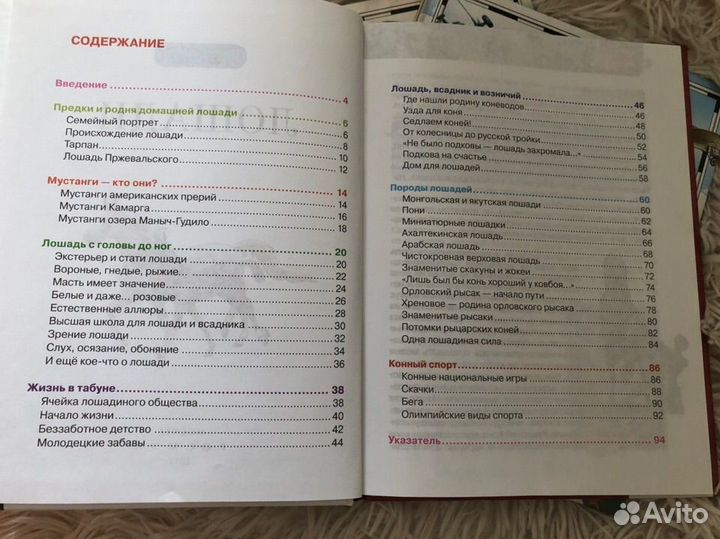 Детская энциклопедия росмэн