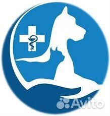 Ветеринарный врач на дом