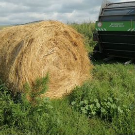 Сено в рулонах