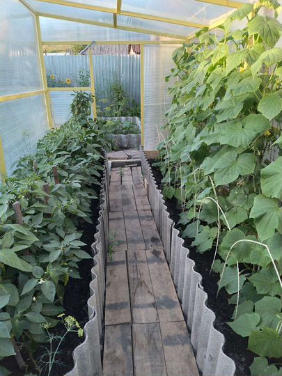 Дом 58 м² на участке 5 сот.