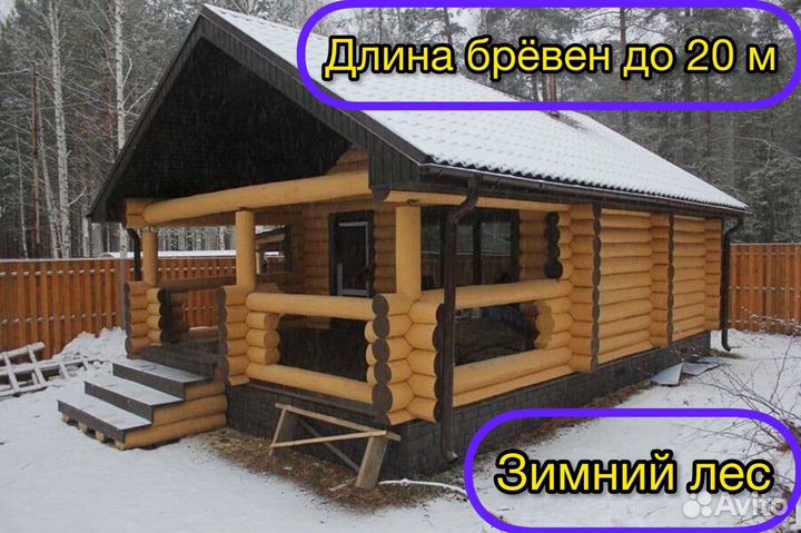 Срубы домов и бань