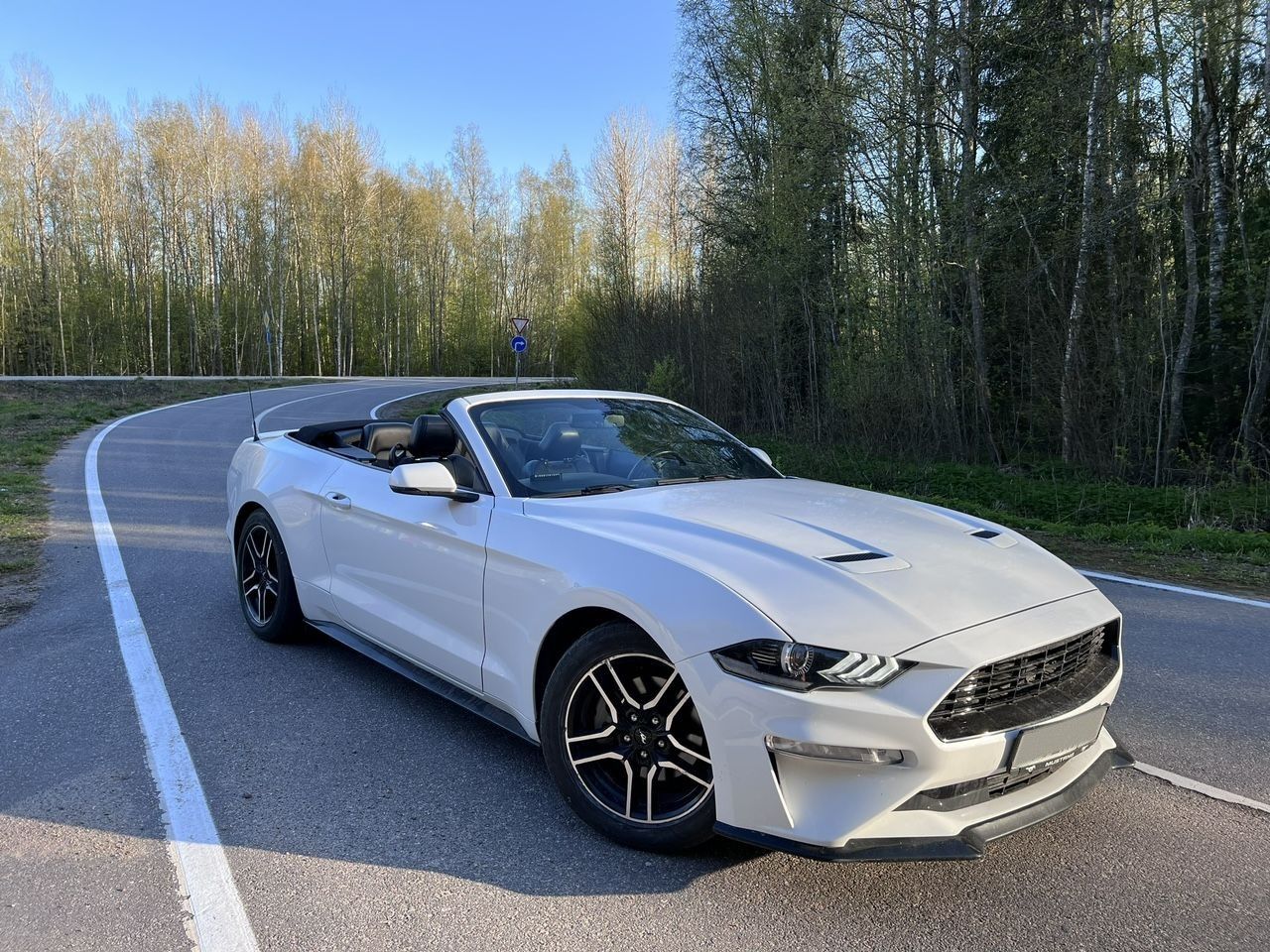 Ford Mustang: фото владельца