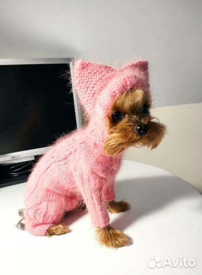 Вязаная одежда для ваших маленьких хвостиков