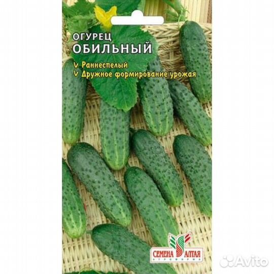 Рассада огурцов, кабачков