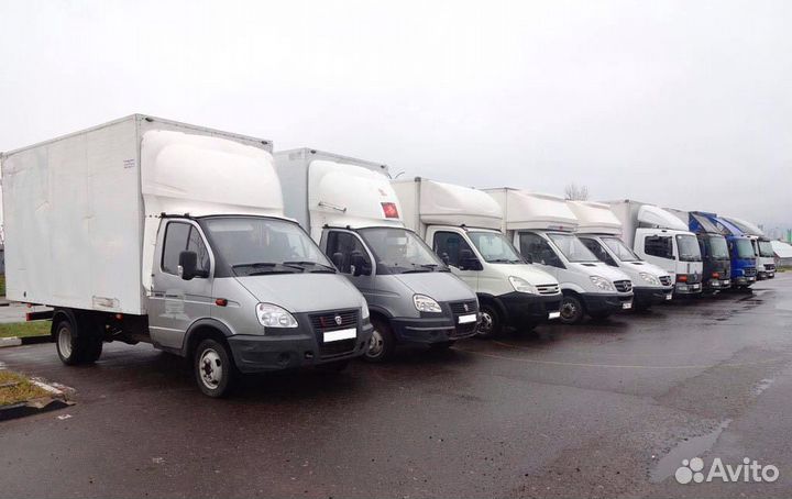 Грузоперевозки по Городу и Краю. Любая точка Р/Ф