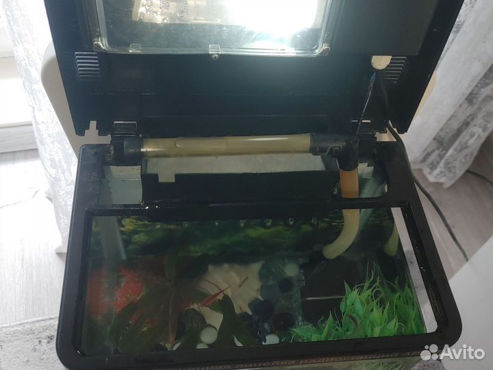 Аквариум с рыбками