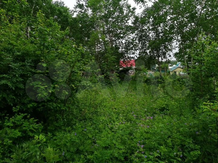 Участок 10 сот. (СНТ, ДНП)