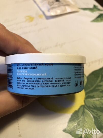 Сверчок замороженный