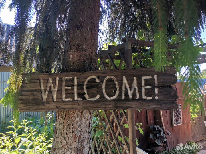 Многолетники для сада