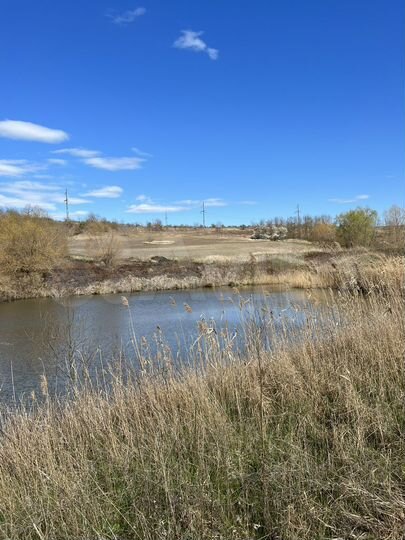 Участок 20 га (СНТ, ДНП)