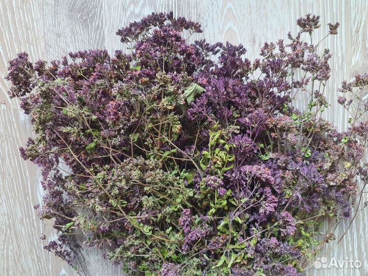 Травы для бани