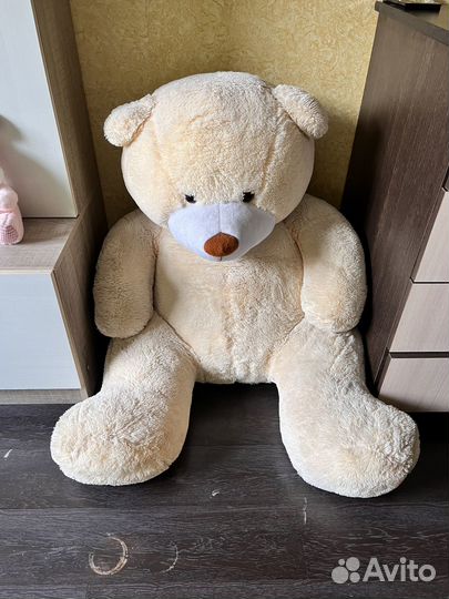 Большие плюшевые медведи