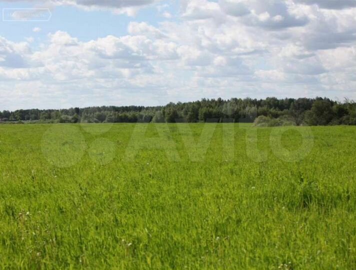 Участок 2,6 га (СНТ, ДНП)