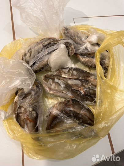 Окунь замороженый
