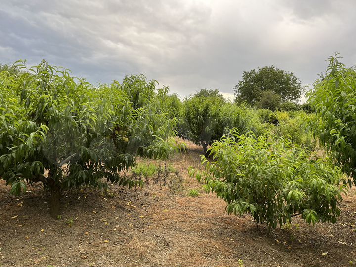 Участок 20 сот. (ИЖС)