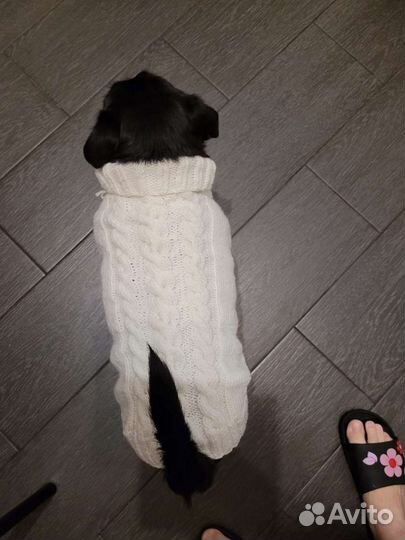 Свитер для собаки