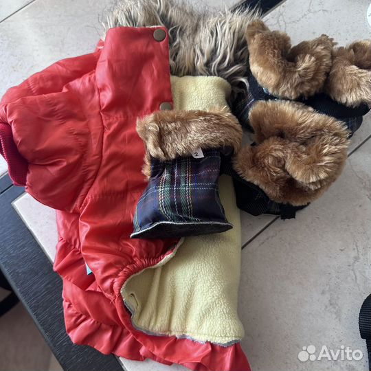 Комплект для собаки