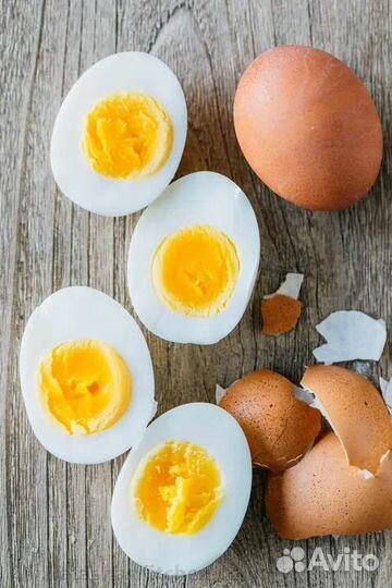 Домашнее яйцо(куриное и перепелиные)