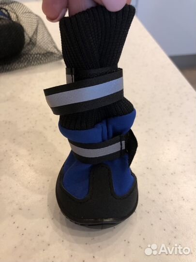 Сапожки для собак