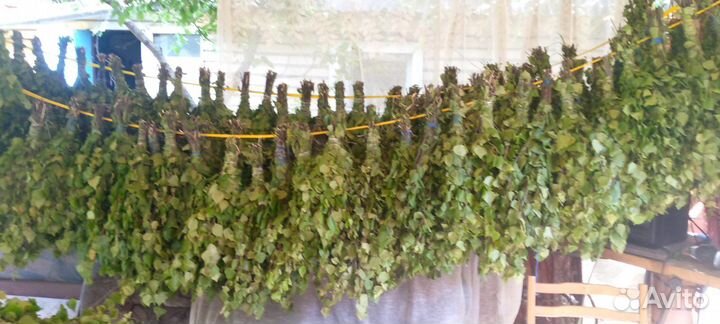 Дубовые веники для бани