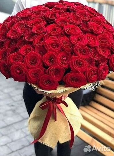 Розы Букеты Цветы Розы 31 101 151 201 Доставка