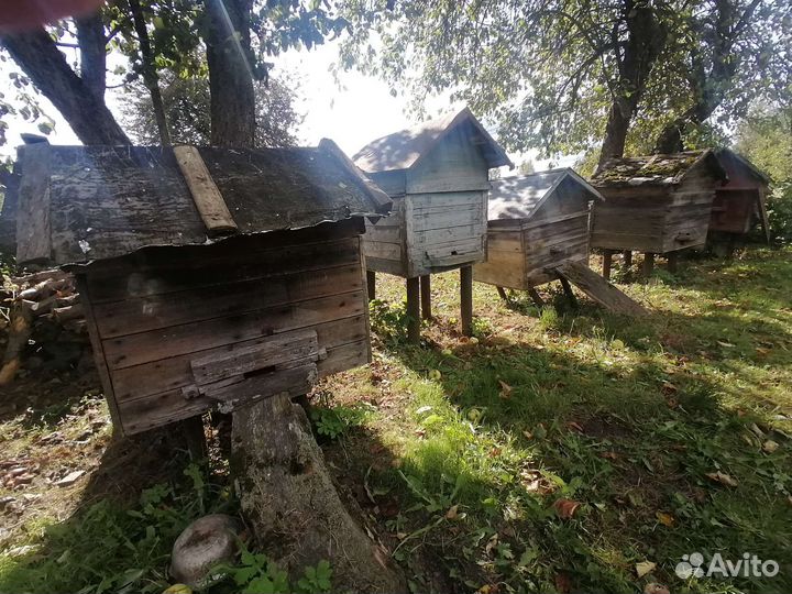 Ульи для пчел