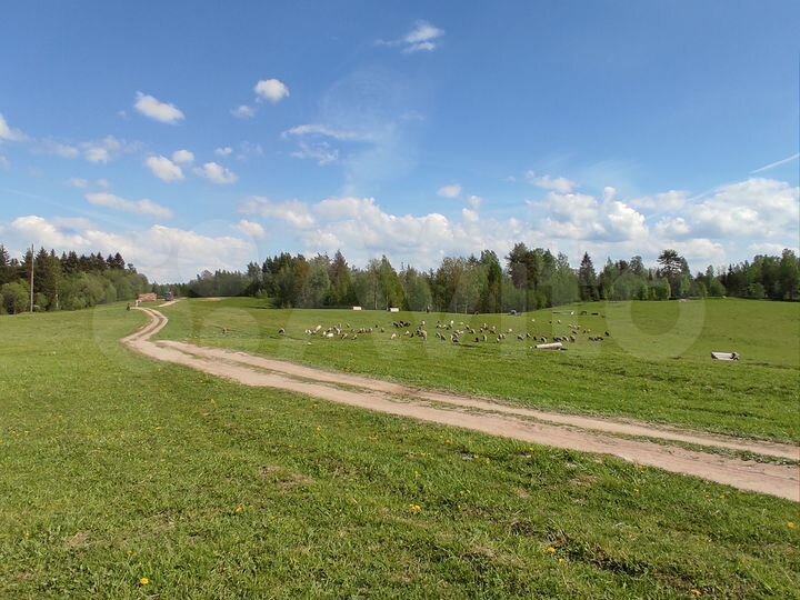 Участок 5,8 га (СНТ, ДНП)