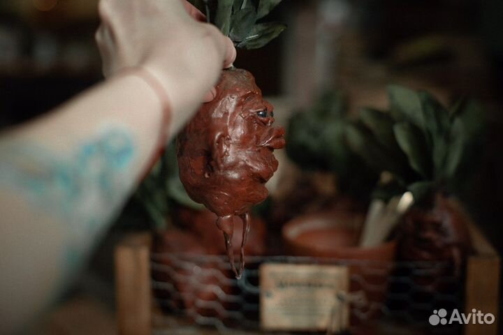 Гарри Поттер (мандрагора) harry potter mandrake