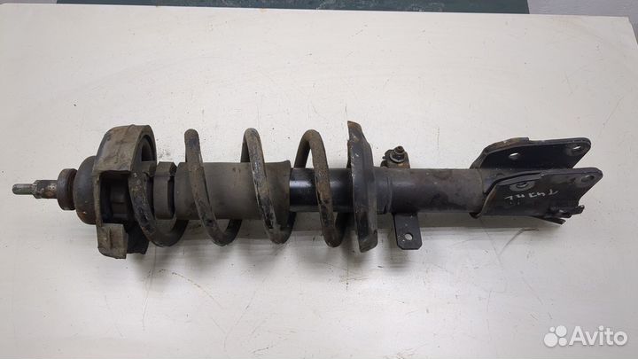 Амортизатор подвески Opel Vivaro, 2015