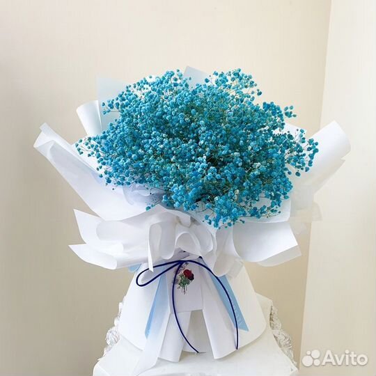 Цветная Гипсофила. Букеты. Доставка/Самовывоз