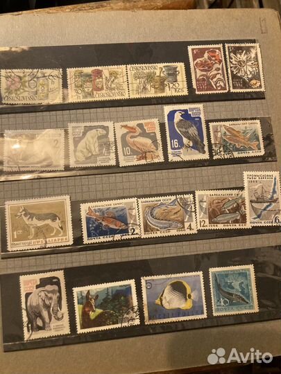 Альбом с почтовыми марками