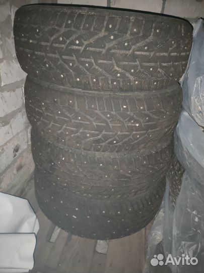 Tigar Ice 205/55 R16