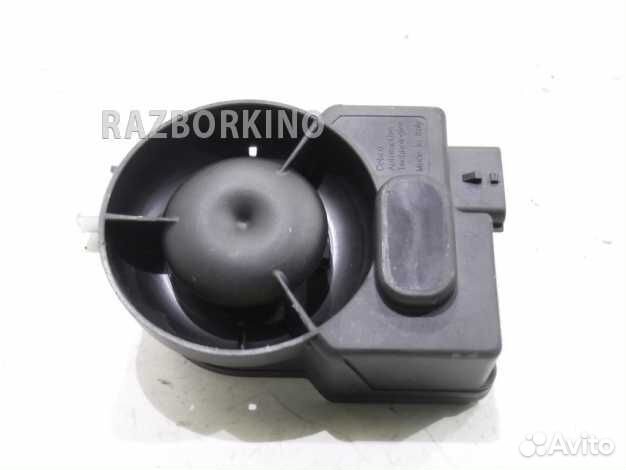 Сирена Инфинити