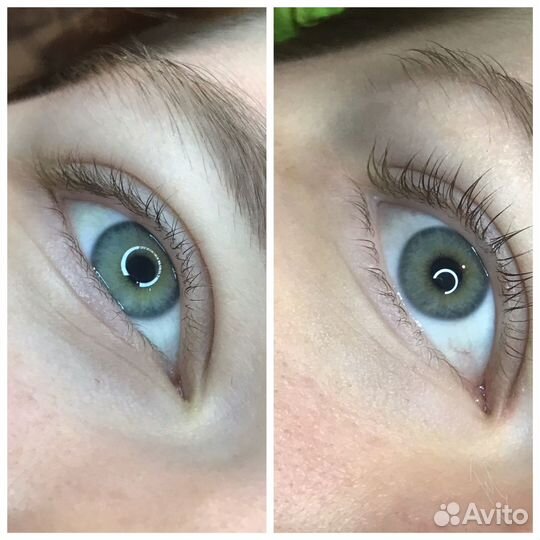 Бровист ламимейкер