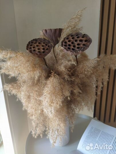 Лотосы сухоцветы