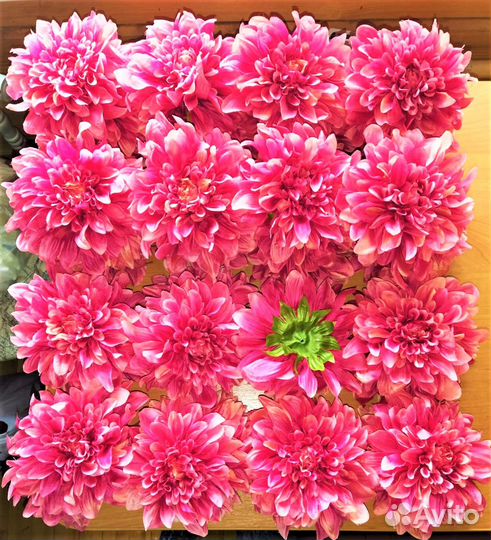 Искусственные растения для декора