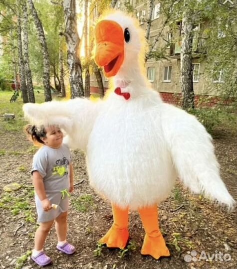 Гусь обнимусь новый