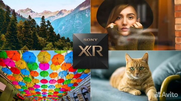 Sony Bravia 8 K-65XR80, Bravia 7 K-65XR70(Гарантия