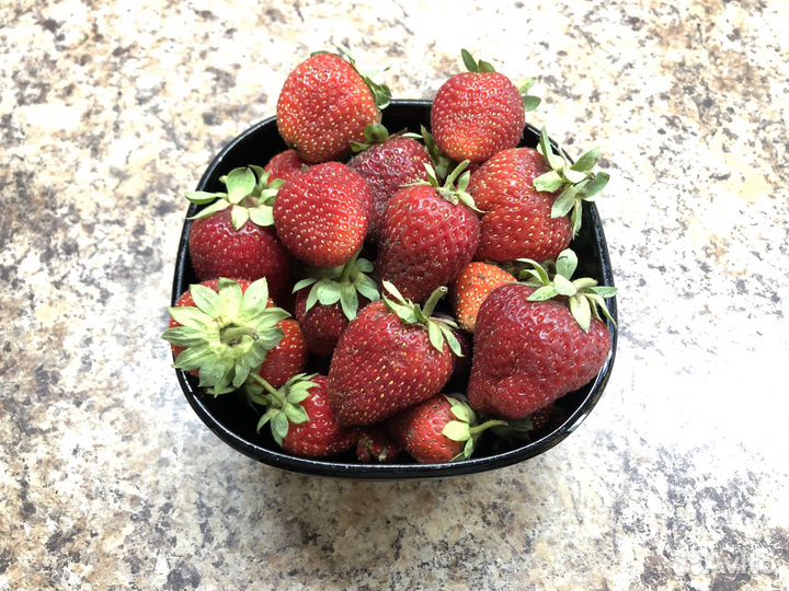 Клубника саженцы Клери 70 р