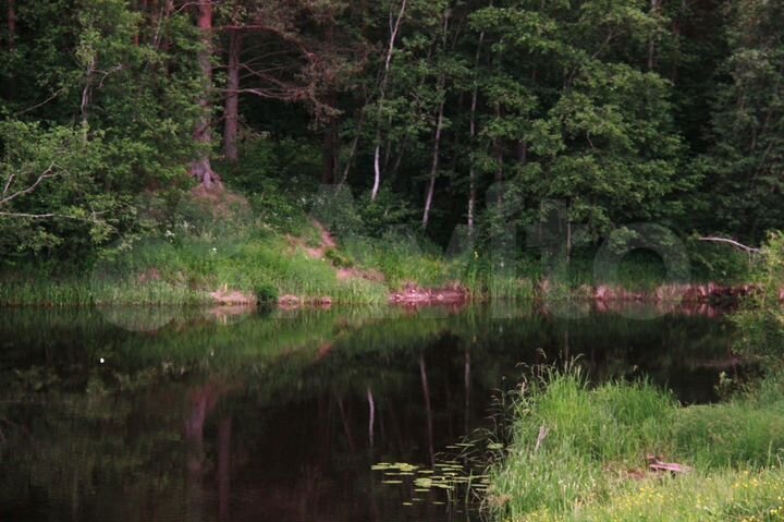 Дом 45 м² на участке 30 сот.