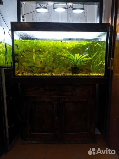 Аквариум 250 литров