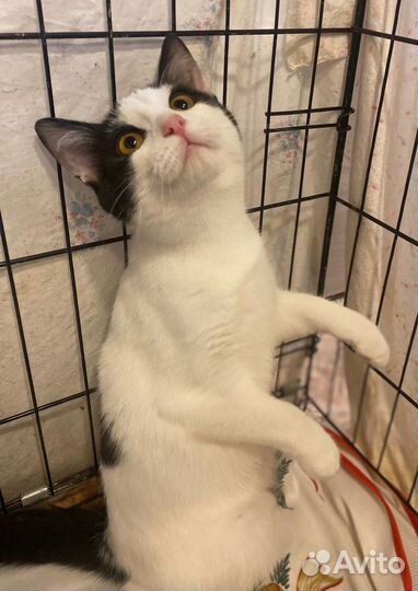 Замурчательный мальчик (5 месяцев)