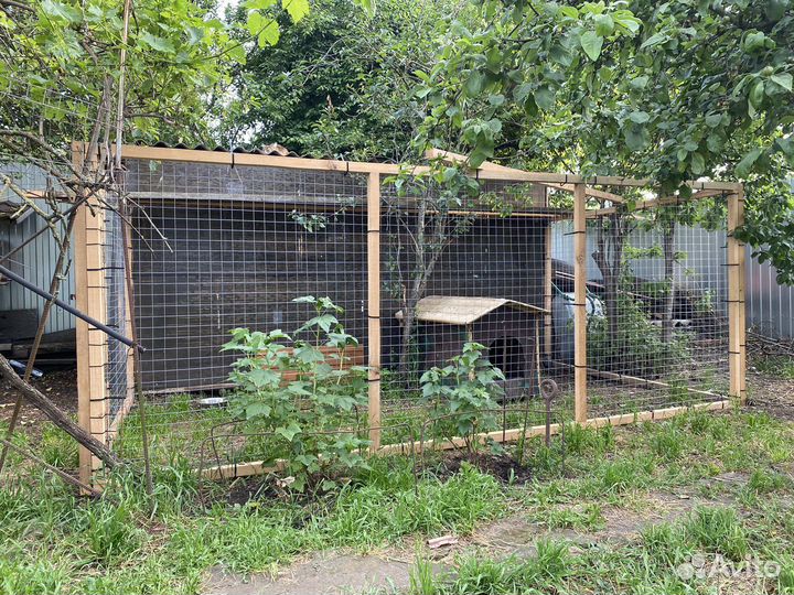 Вольер/загон для собак, птицы