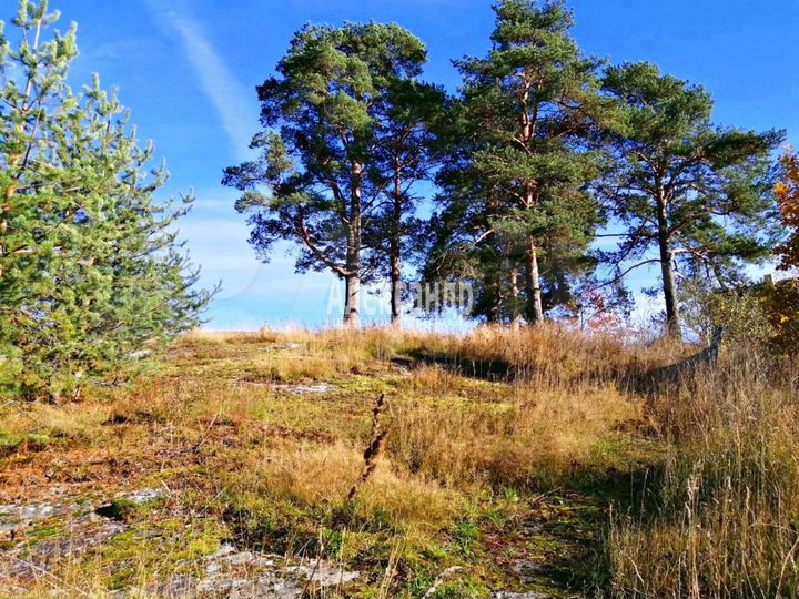 Дом 157 м² на участке 100 сот.