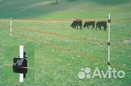 Электропастух