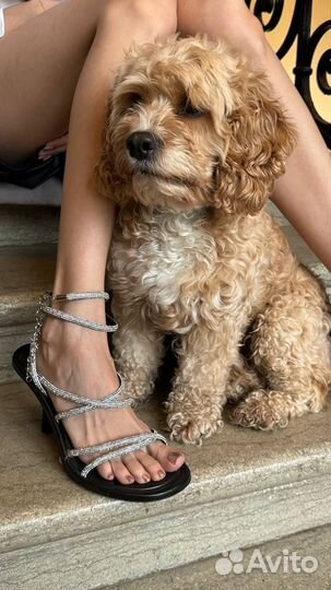 Босоножки loriblu