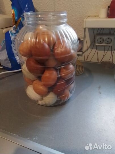 Домашние куриные яйца