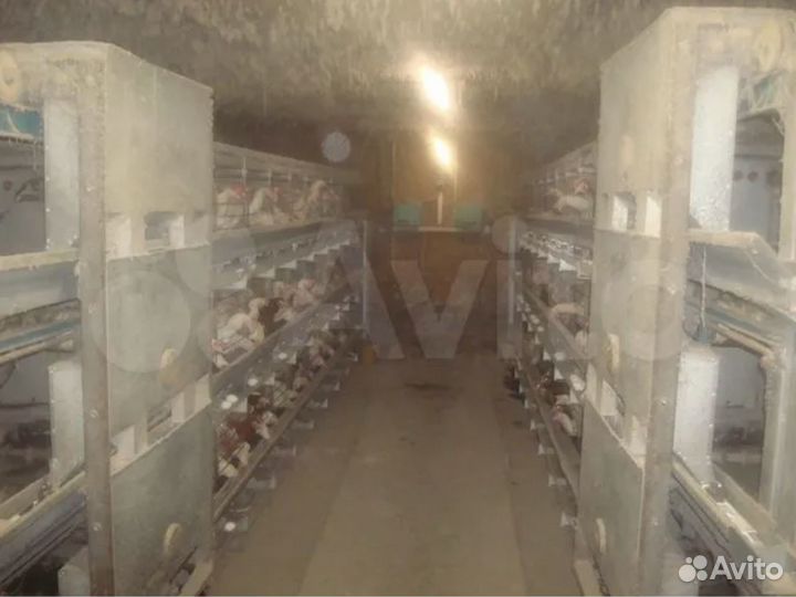 Продажа кфх с доходом 500тр/мес